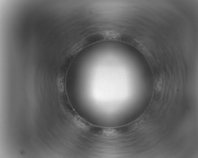 X0000069840666200605261908