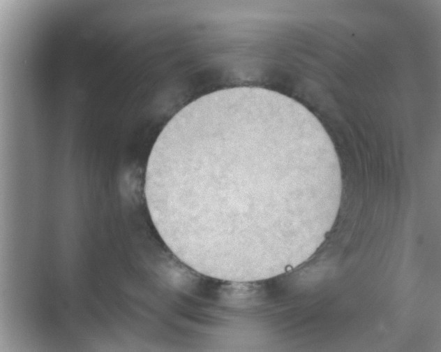 X0000069840672200605261908