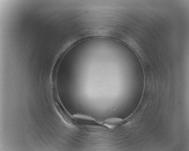 X0000069840674200605261907