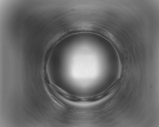 X0000069840677200605261907