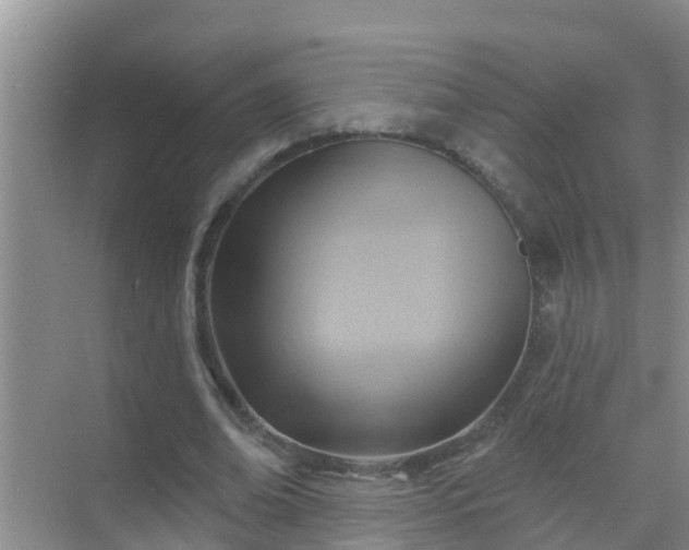 X0000069840678200605261907