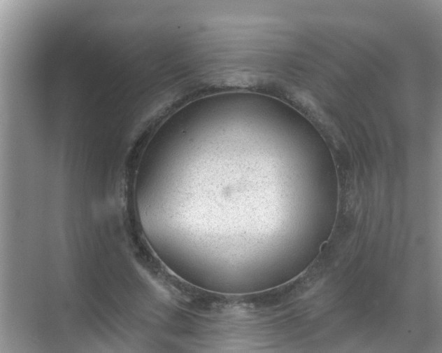 X0000069840683200605261907