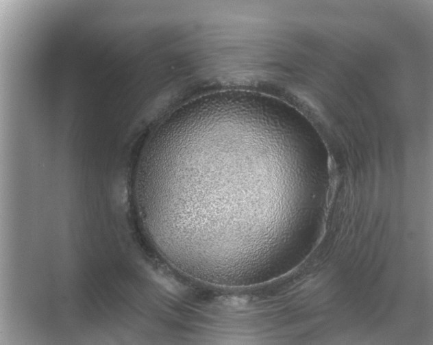 X0000069840687200605261907