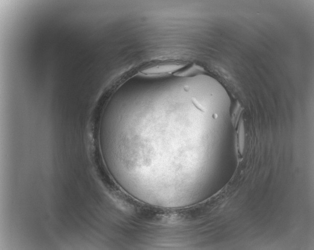 X0000069840688200605261907