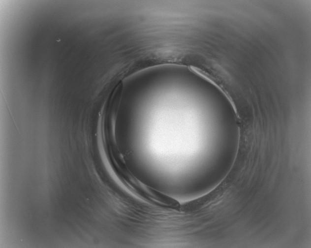 X0000069840693200605261907