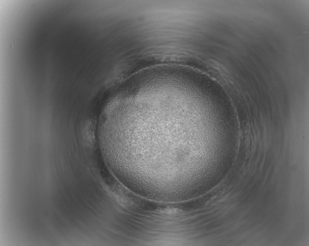 X0000069840695200605261907