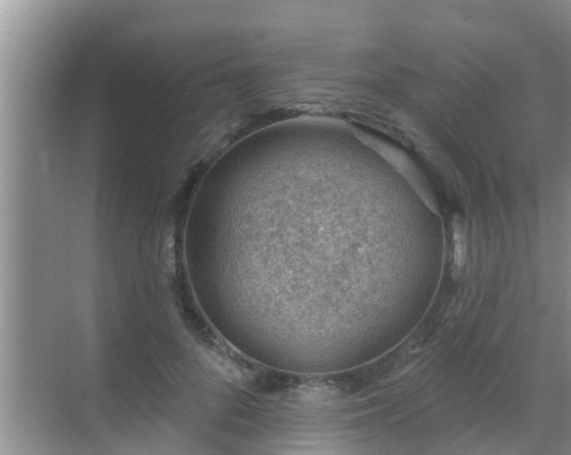 X0000069840696200605261907