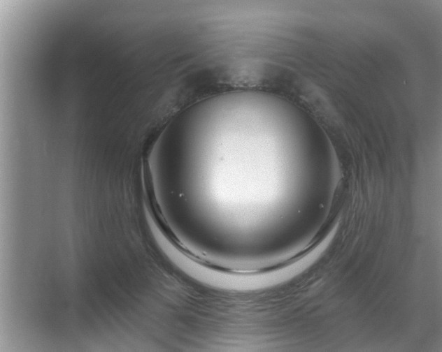 X0000069840697200605261907