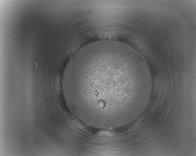 X0000069840699200605261907