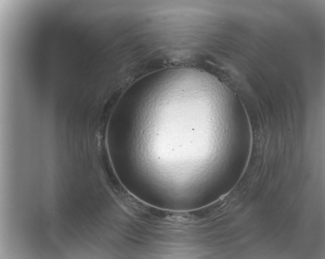 X0000069840703200605261907