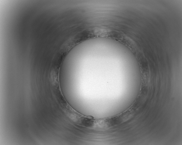 X0000069840705200605261907