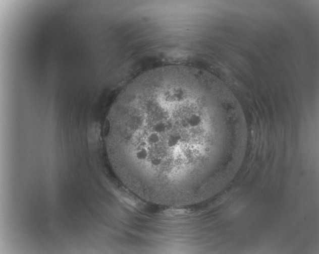 X0000069840711200605261907