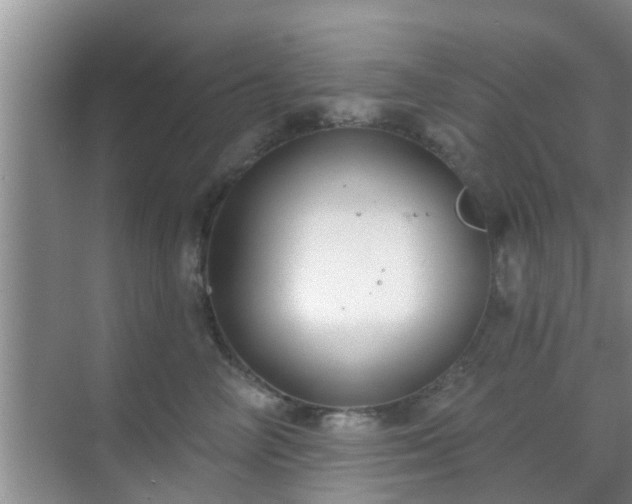 X0000069840714200605261907