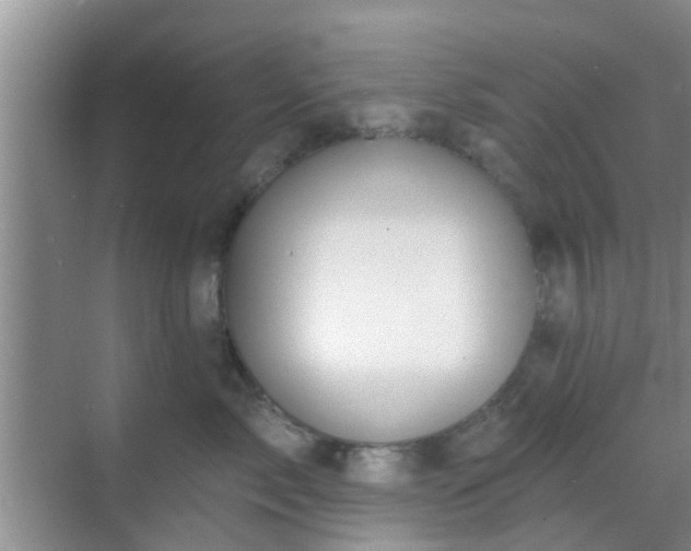 X0000069840717200605261907