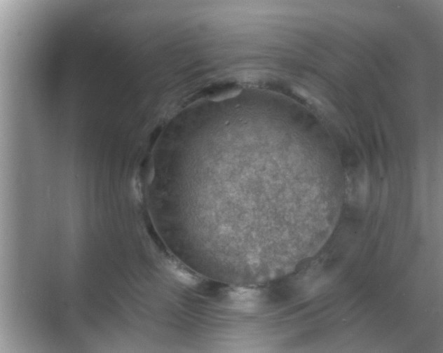 X0000069840718200605261907