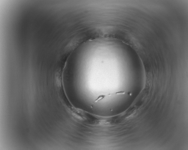 X0000069840719200605261907