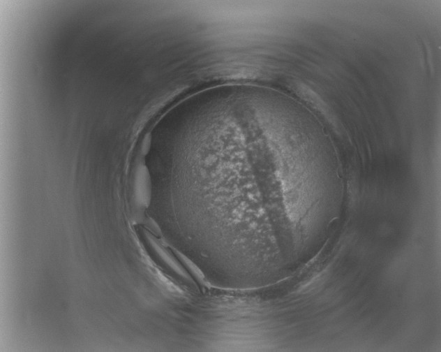 X0000069840721200605261906