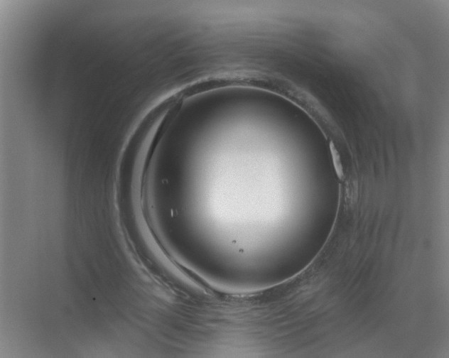 X0000069840724200605261906