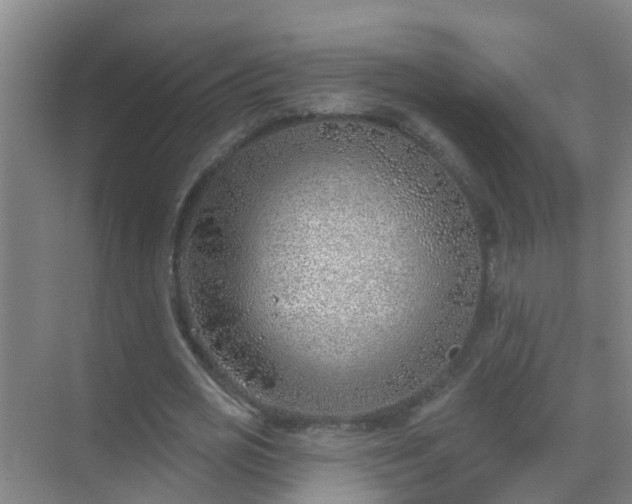 X0000069840725200605261906