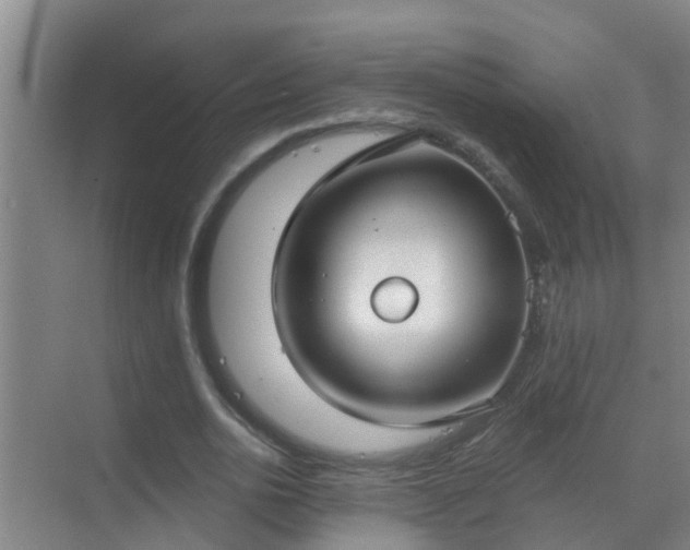 X0000069840726200605261906