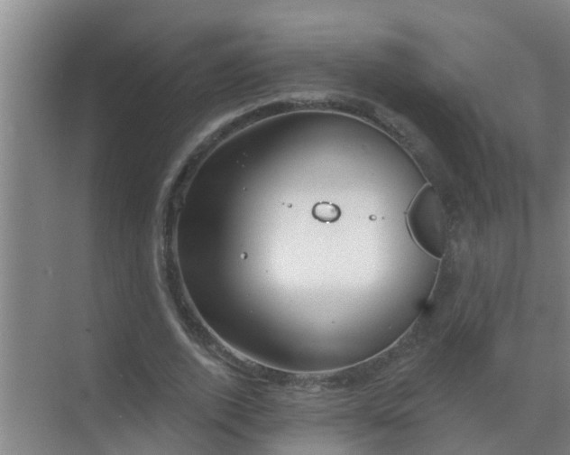 X0000069840728200605261906