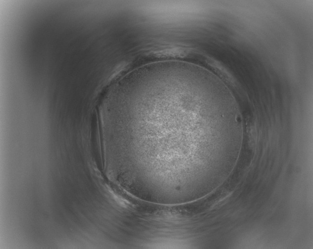 X0000069840729200605261906