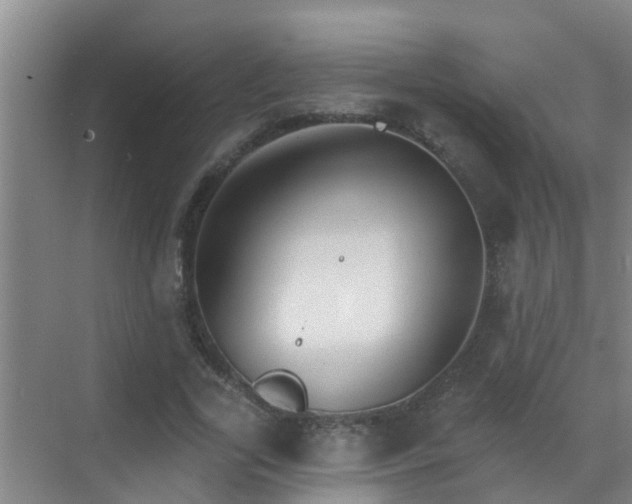 X0000069840731200605261906