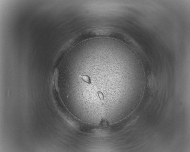 X0000069840733200605261906