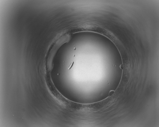 X0000069840734200605261906