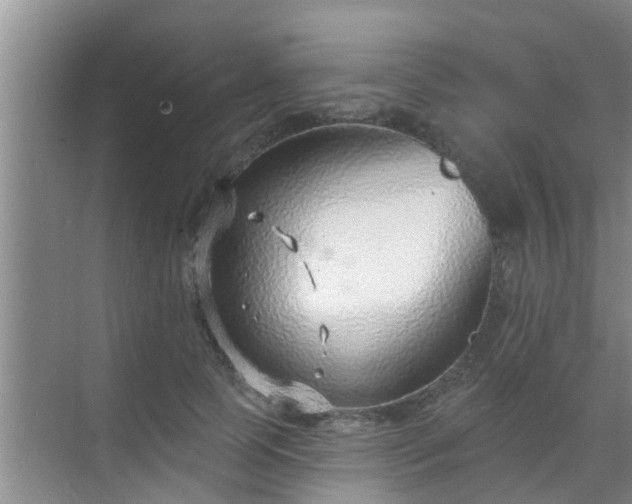 X0000069840745200605261906