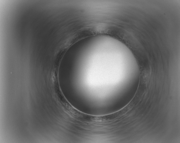 X0000069840746200605261906