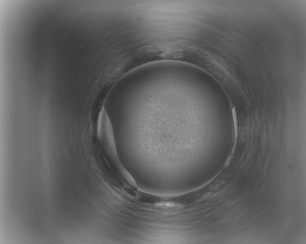 X0000069840748200605261906