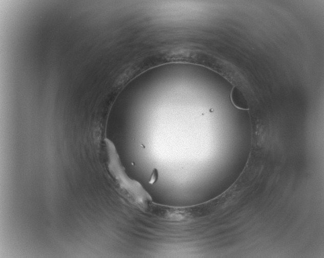 X0000069840753200605261906