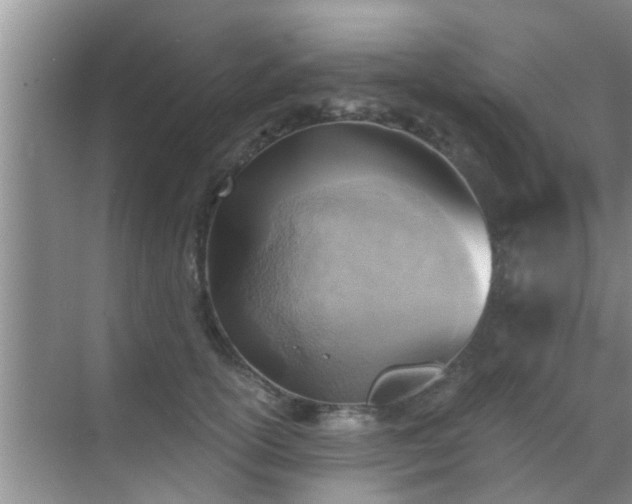 X0000069840754200605261906