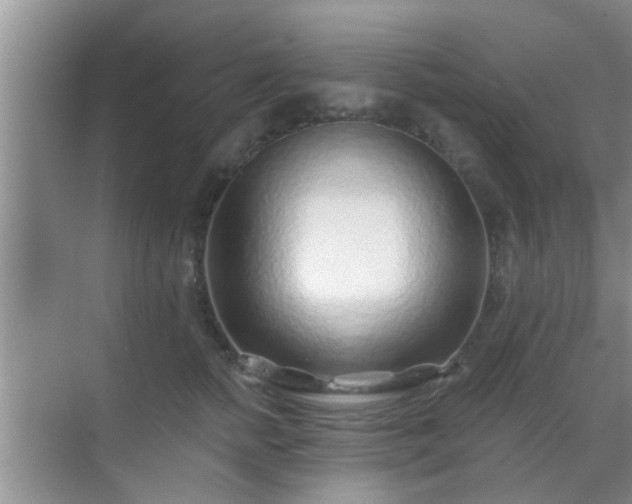 X0000069840758200605261906