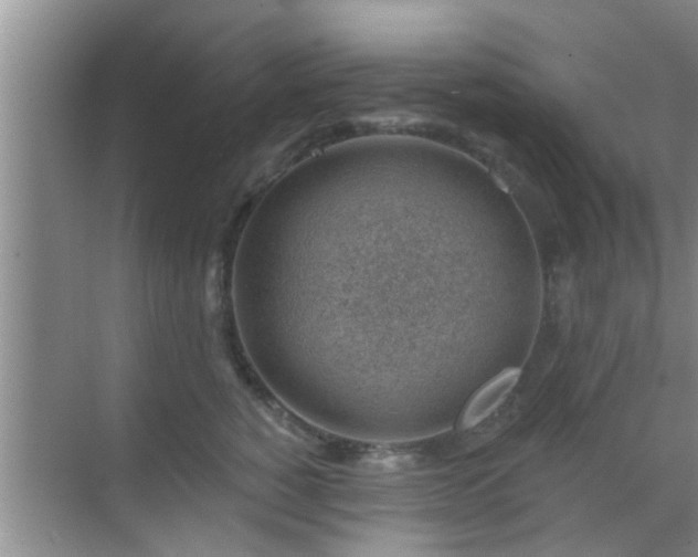 X0000069840760200605261906