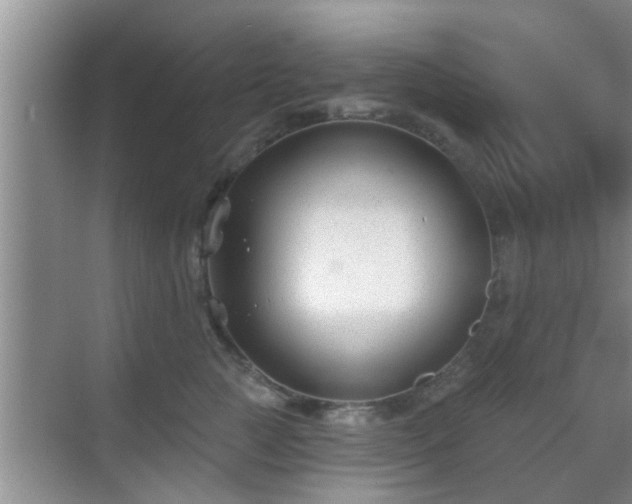 X0000069840761200605261906