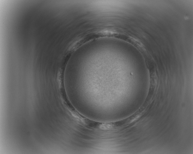 X0000069840762200605261906