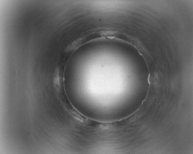 X0000069840763200605261906