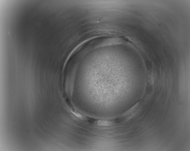 X0000069840766200605261907