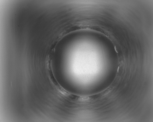 X0000069840767200605261907