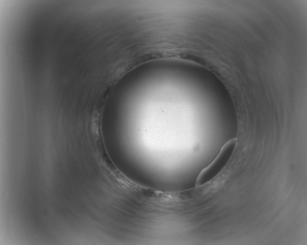 X0000069840768200605261907