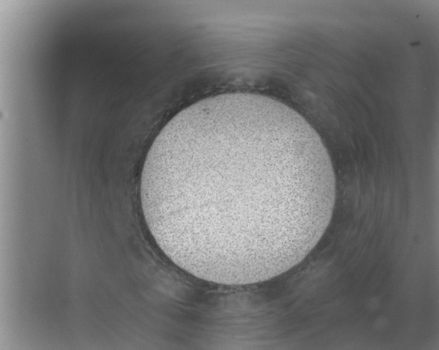 X0000069840769200605261906