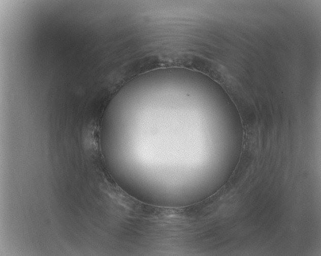 X0000069840770200605261906