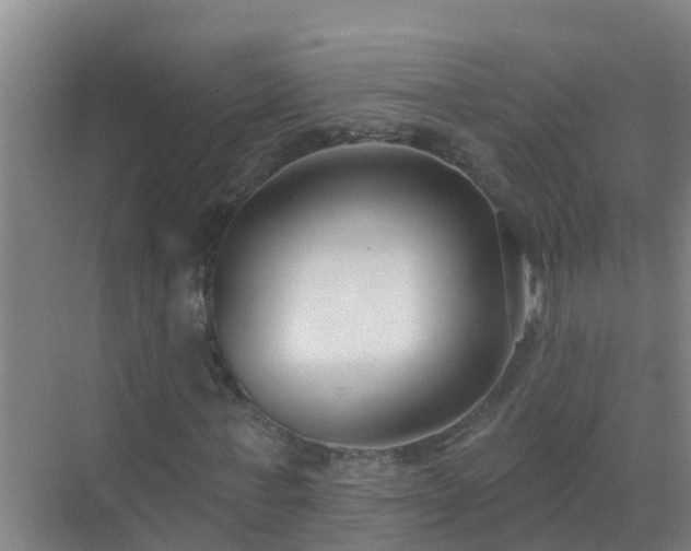 X0000069840771200605261906