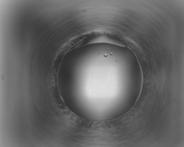 X0000069840776200605261906