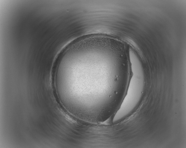 X0000069840780200605261906