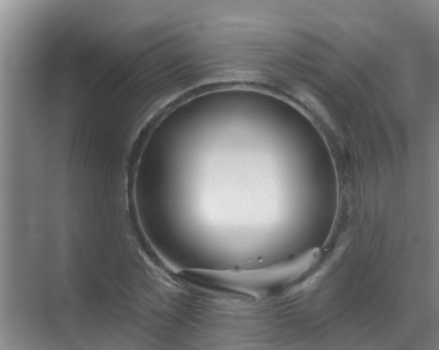 X0000069840781200605261906