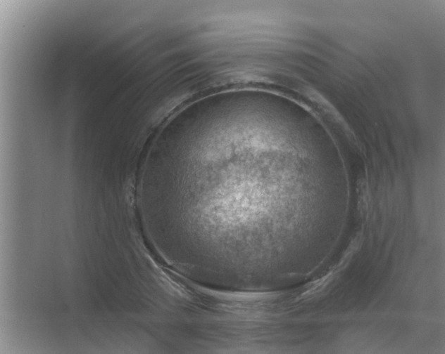 X0000069840785200605261905