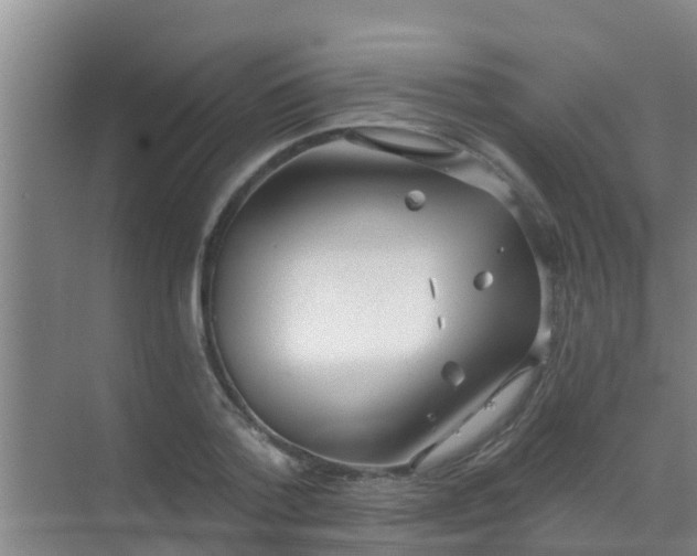 X0000069840788200605261905